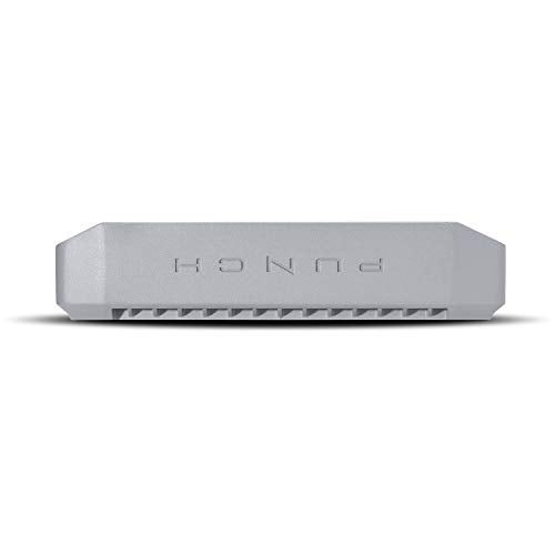 Rockford Fosgate PM500X1bd Punch Marine 500 Watt Class-bd Mono Amplifier Rockford Fosgate PM500X1bd Punch Marine 500 Watt Class-bd Mono Amplifier